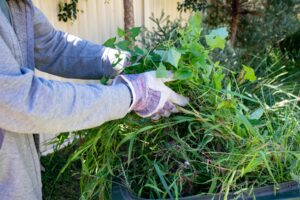 landscaping-amberley